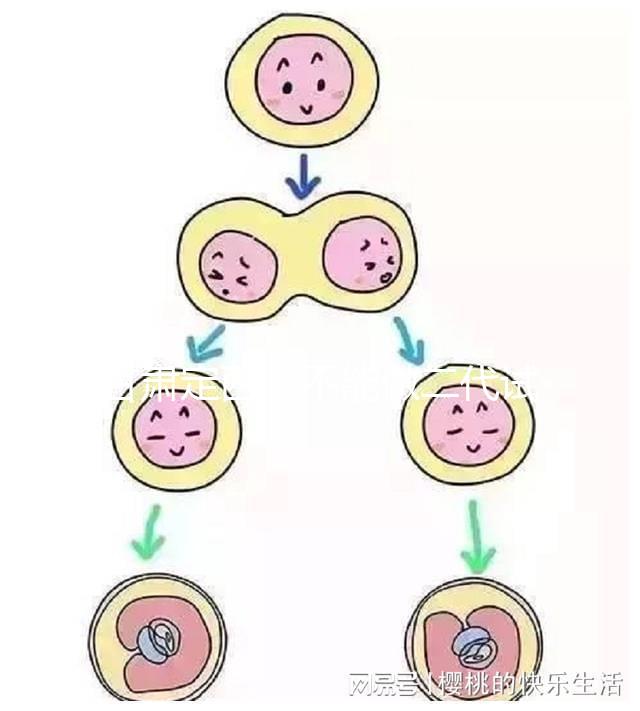 甘肅定西能不能做二代試管嬰兒，成功率高不高？