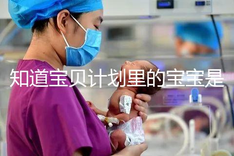 知道寶貝計(jì)劃里的寶寶是誰嗎?如今長大后越來越帥了