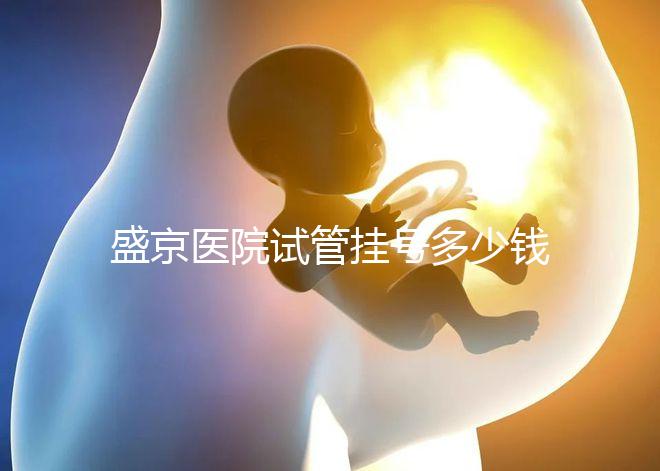 盛京醫(yī)院試管掛號(hào)多少錢、掛哪個(gè)科戳,附2024詳細(xì)流程