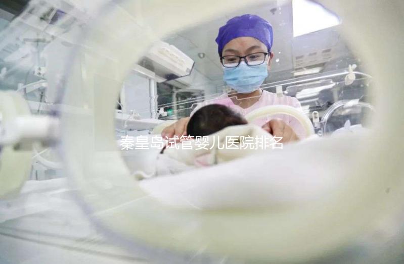 秦皇島試管嬰兒醫(yī)院排名,2024年助孕機(jī)構(gòu)費用清單參考