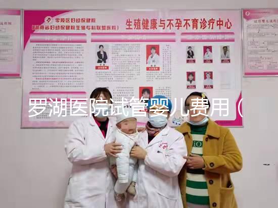 羅湖醫(yī)院試管嬰兒費用(羅湖醫(yī)院試管嬰兒費用可以報銷嗎)