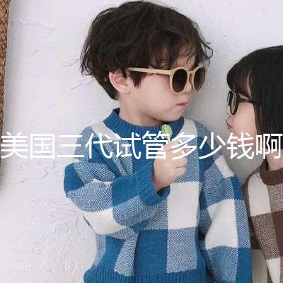 美國(guó)三代試管多少錢啊