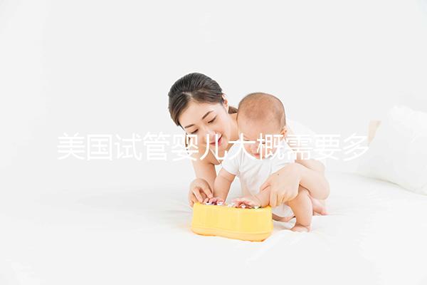 美國試管嬰兒大概需要多少錢