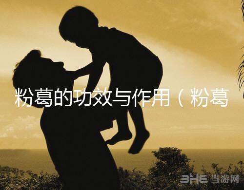 粉葛的功效與作用(粉葛與葛根有什么區別)