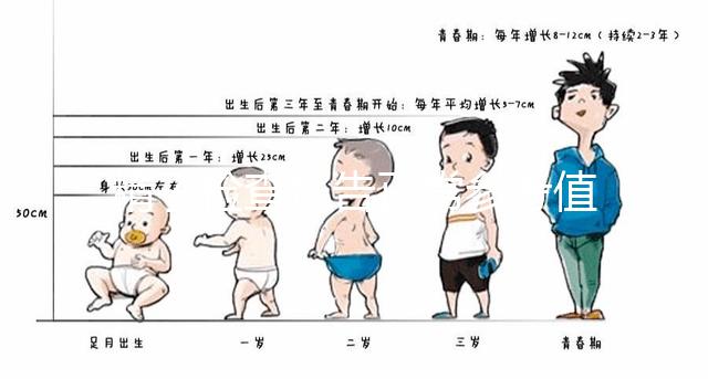 精子檢查報告正常參考值圖例分析，關注這3項指標就夠了
