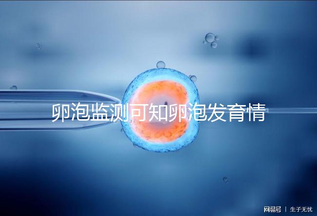 卵泡監(jiān)測(cè)可知卵泡發(fā)育情況預(yù)測(cè)排卵期來提高受孕率