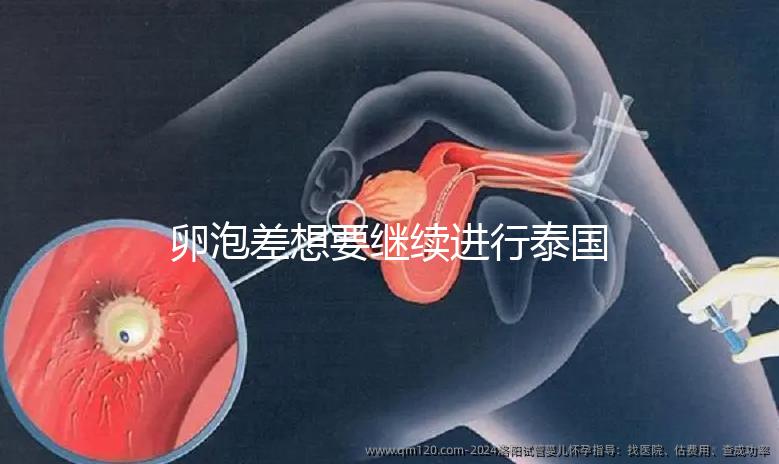 卵泡差想要繼續進行泰國試管嬰兒,送你這份過來人小心得