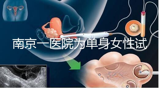 南京一醫(yī)院為單身女性試管助孕引爭議背后:當(dāng)把生育需求納入法規(guī)框架