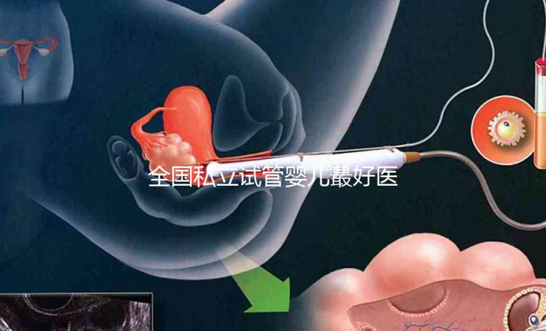 全國私立試管嬰兒最好醫院哪里最好，附醫院推薦