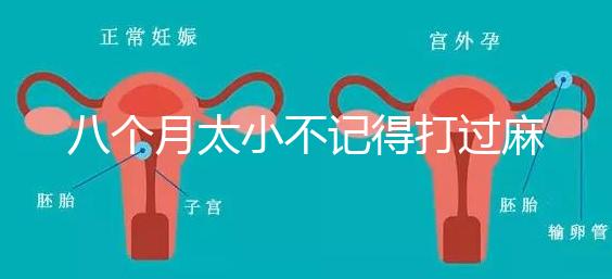 八個月太小不記得打過麻風疫苗看這，2大反應教你辨別