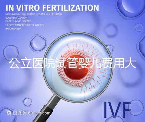 公立醫(yī)院試管嬰兒費(fèi)用大概要多少錢