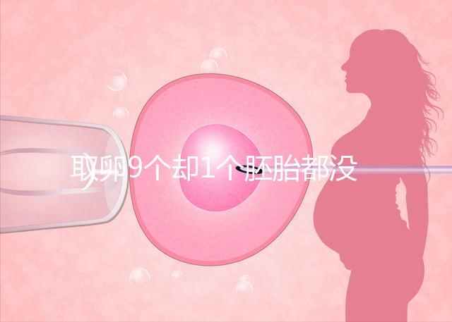 取卵9個卻1個胚胎都沒有，33歲準媽媽最后如何成功？