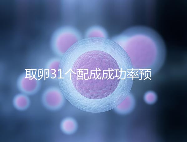 取卵31個(gè)配成成功率預(yù)測,鮮胚個(gè)數(shù)在這個(gè)范圍都有希望