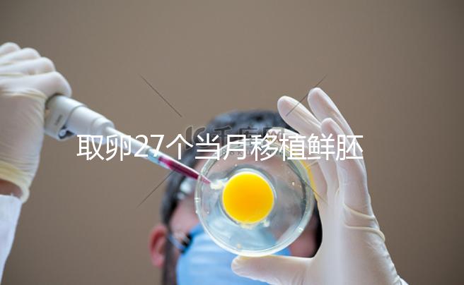 取卵27個當月移植鮮胚別想了,成功率低不說當心全軍覆沒