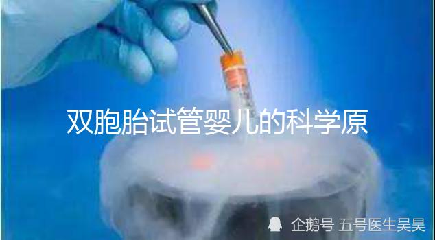 雙胞胎試管嬰兒的科學(xué)原理與成功案例探討