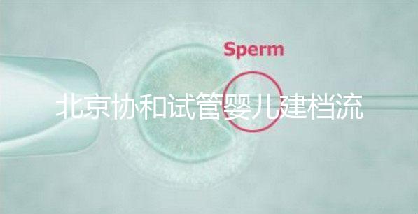 北京協和試管嬰兒建檔流程介紹，到院后掛號必不可少