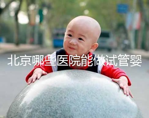 北京哪些醫院能做試管嬰兒？