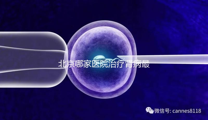 北京哪家醫(yī)院治療腎病最好(北京哪家醫(yī)院治療腎病最好?)