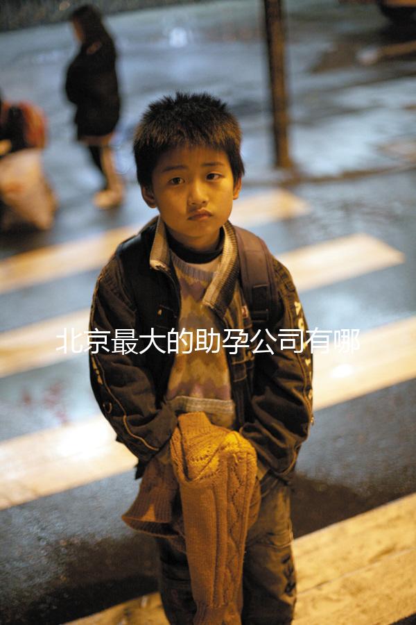 北京最大的助孕公司有哪些，是合法的嗎？