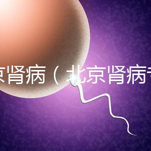 北京腎?。ū本┠I病專家排名）