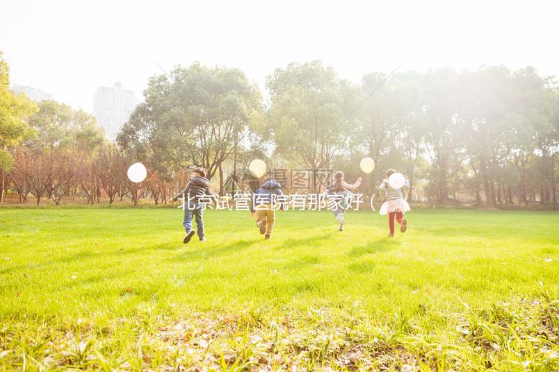 北京試管醫院有那家好(北京試管醫院排名哪家好)