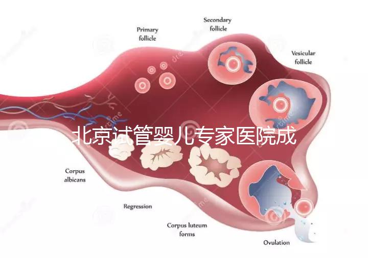 北京試管嬰兒專家醫(yī)院成功率高嗎,醫(yī)院推薦與費(fèi)用解析