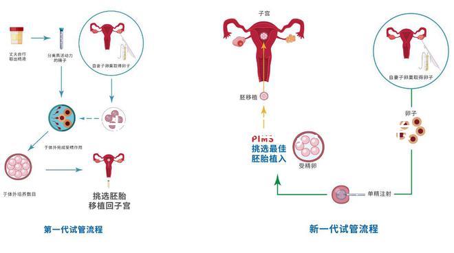 北大試管之路??:我的親歷