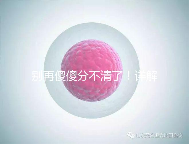 別再傻傻分不清了！詳解美國試管嬰兒和人工授精的區別