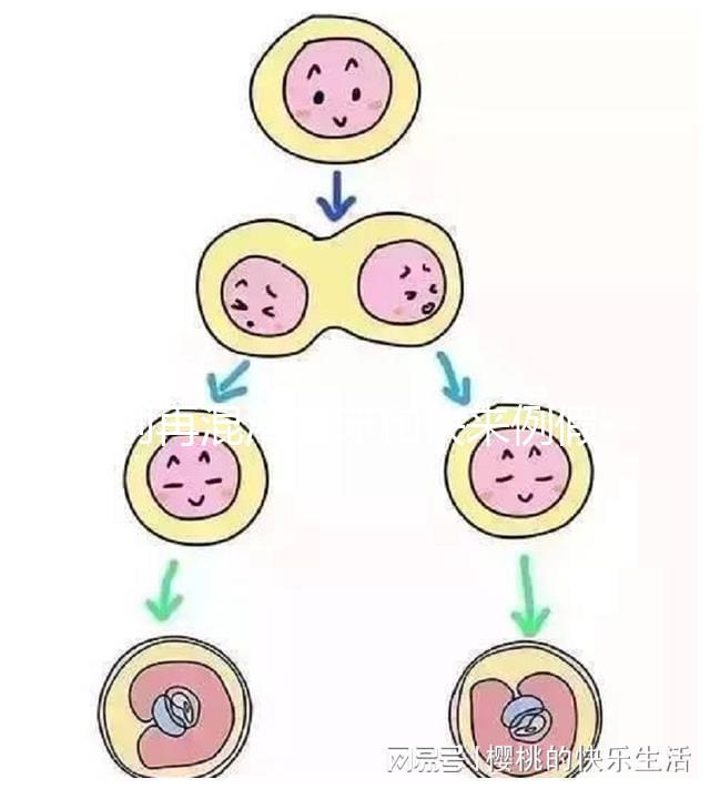 別再混淆著床和快來例假了，除了出血量還有這些區別