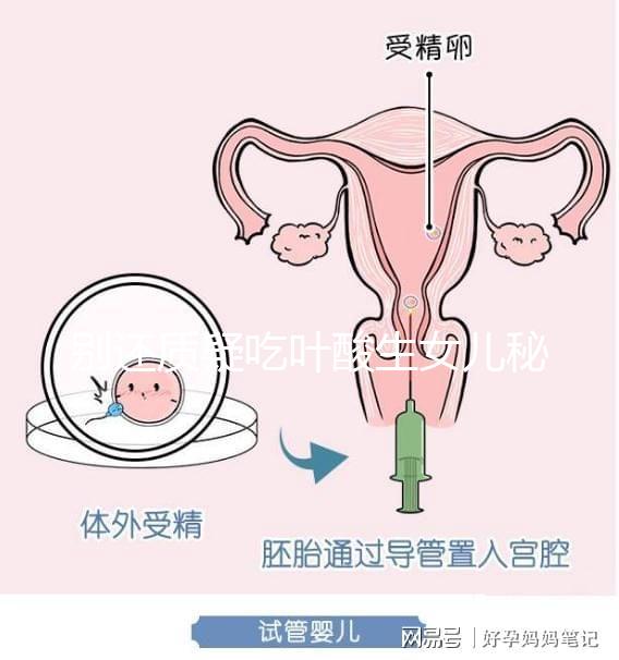 別還質(zhì)疑吃葉酸生女兒秘方真假了，概率多高進來一看便知