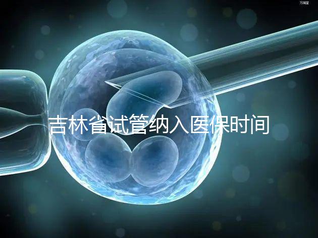 吉林省試管納入醫(yī)保時(shí)間未定別灰心,助孕補(bǔ)助政策了解下