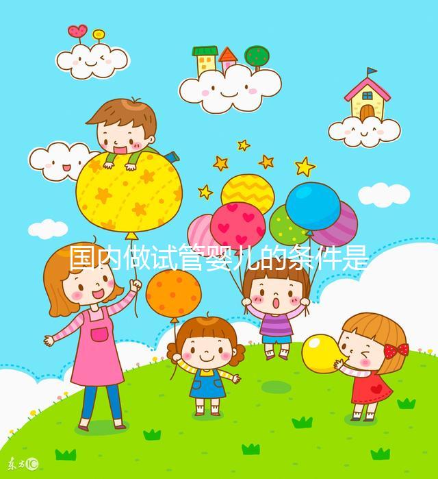 國(guó)內(nèi)做試管嬰兒的條件是什么，有什么要求？