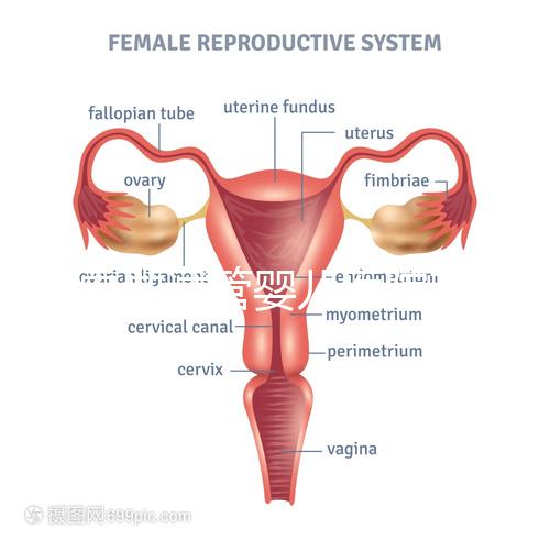 國內做試管嬰兒醫院有哪些？附全國十大試管醫院排名