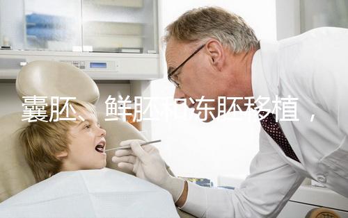 囊胚、鮮胚和凍胚移植，哪一種移植成功率更高？