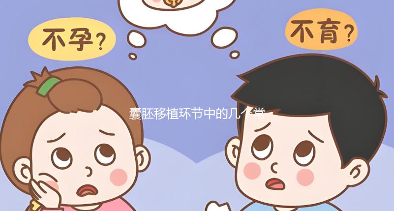 囊胚移植環(huán)節(jié)中的幾個(gè)常見(jiàn)問(wèn)題解析