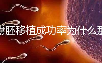 囊胚移植成功率為什么那么高？一期給你講明白！