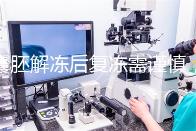 囊胚解凍后復(fù)凍需謹慎,這些對胚胎質(zhì)量的影響不可不知