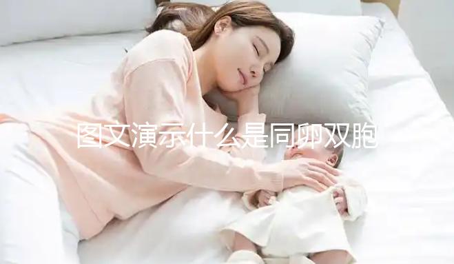 圖文演示什么是同卵雙胞胎，和異卵雙胞胎有3大區別