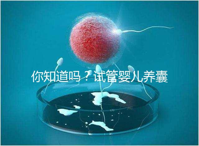 你知道嗎？試管嬰兒養(yǎng)囊的過(guò)程比“高考”更殘酷