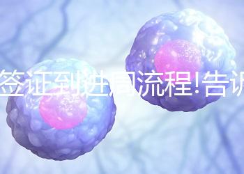 從簽證到進(jìn)周流程!告訴你怎么去馬來(lái)西亞做試管嬰兒