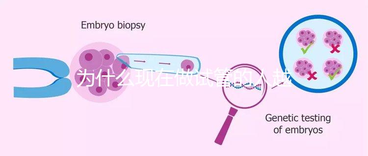 為什么現在做試管的人越來越多？解析背后的原因與趨勢！