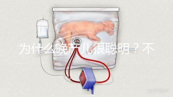 為什么晚產(chǎn)兒很聰明？不要被智商比同齡人高誤導(dǎo)