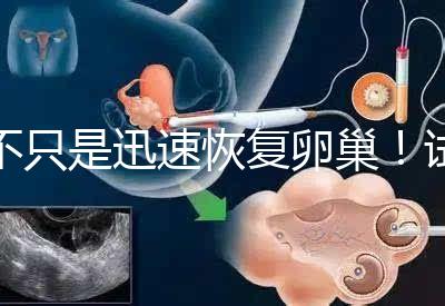 不只是迅速恢復(fù)卵巢！試管取卵后吃蘿卜的3大好處匯總