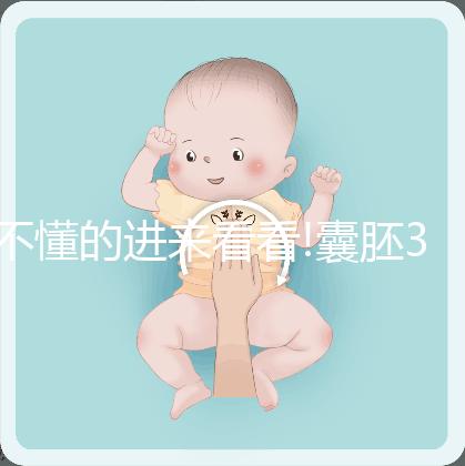 不懂的進(jìn)來(lái)看看!囊胚3bb質(zhì)量級(jí)別、成功率詳解
