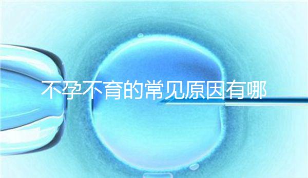 不孕不育的常見(jiàn)原因有哪些