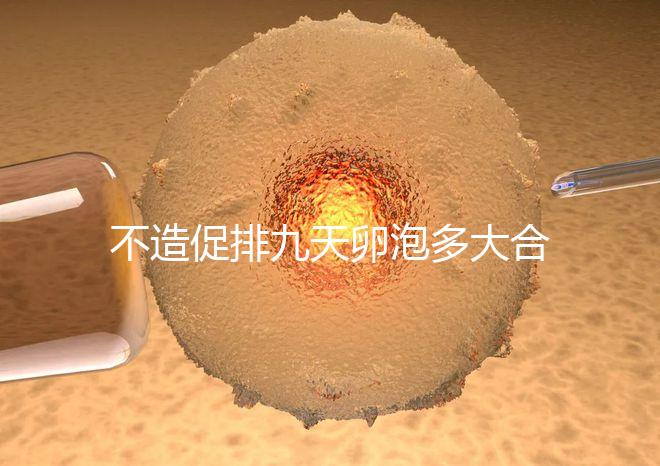 不造促排九天卵泡多大合適的瞧，卵巢功能好卵子10還能長