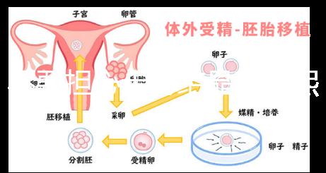 不要擔(dān)心十月結(jié)晶和曼熙哪個洗澡盆好，先知道怎么安裝