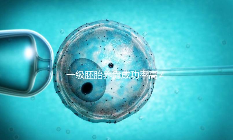 一級胚胎養囊成功率高≠零失敗，染色體異常是主要原因