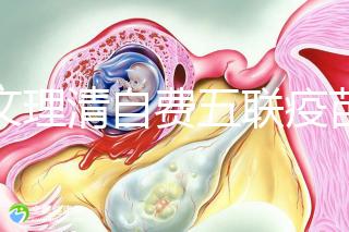 一文理清自費(fèi)五聯(lián)疫苗接種必要性，新生兒打有這些好處