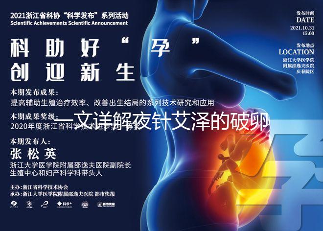 一文詳解夜針艾澤的破卵成功率，60s弄清跟絨促誰更高